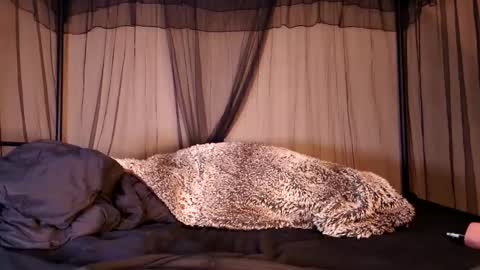 HailWilds online show from September 12, 6:35 am