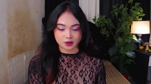 haily online show from November 12, 2:12 am