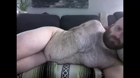 Hairiest Bear online show from March 28, 8:36 am