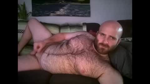 Hairiest Bear online show from April 22, 11:39 pm