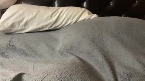 Snapshot of hairy_mexi chatting on March 4, 11:54 pm J M online show from March 4, 11:54 pm