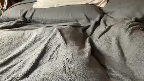 Snapshot of hairy_mexi chatting on March 5, 6:01 am J M online show from March 5, 6:01 am