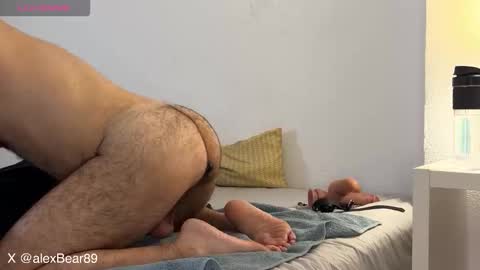 hairyarabbear online show from December 2, 11:34 pm