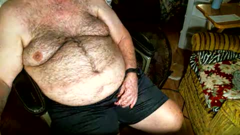 Snapshot of hairybear813 chatting on November 2, 9:50 pm hairybear813 online show from November 2, 9:50 pm