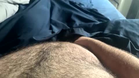 hairynicedaddy online show from May 5, 3:53 pm