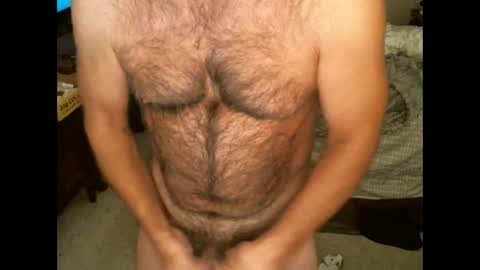 Hairy pecs online show from November 7, 9:42 am