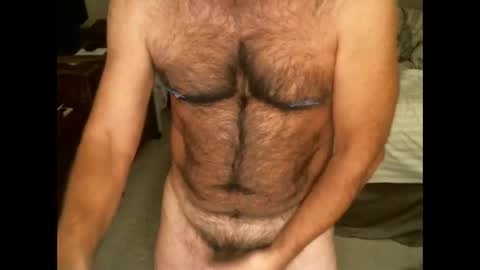 Hairy pecs online show from November 20, 8:47 am