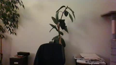 hairypussylover089 online show from June 24, 4:11 am
