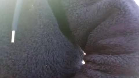 hairypussyxl online show from January 13, 5:33 am