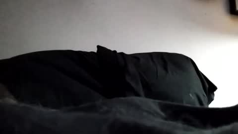 Marty online show from February 3, 12:53 am