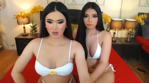 YOUR SIDECHIC HAILEY online show from October 6, 7:17 am