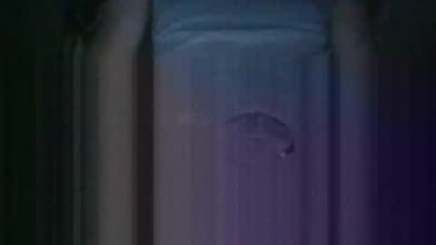 Kiss cocky online show from October 11, 12:36 pm