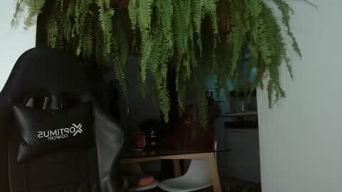 halan online show from March 5, 7:05 am