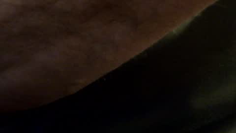 Snapshot of hamhead71 chatting on January 14, 8:59 pm hamhead71 online show from January 14, 8:59 pm