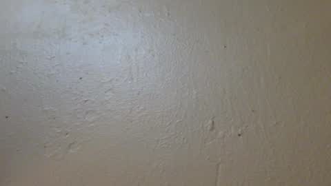 Snapshot of hamhead71 chatting on January 27, 6:52 pm hamhead71 online show from January 27, 6:52 pm