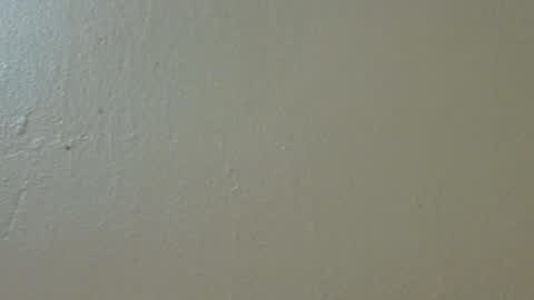 Snapshot of hamhead71 chatting on February 4, 9:52 pm hamhead71 online show from February 4, 9:52 pm