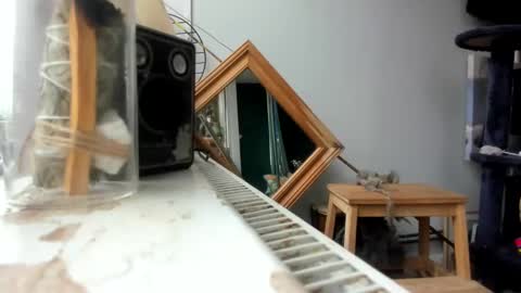 Snapshot of handncocknocum chatting on February 19, 9:06 am handncocknocum online show from February 19, 9:06 am