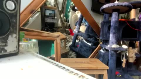 Snapshot of handncocknocum chatting on March 9, 8:18 am handncocknocum online show from March 9, 8:18 am