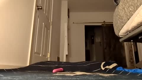 Handydick7373 online show from May 24, 4:06 am