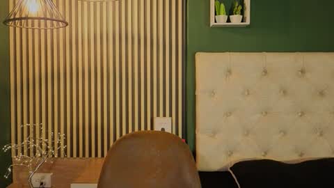 ANA online show from November 7, 12:16 pm