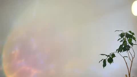 Snapshot of hannah_levis_ chatting on February 25, 8:02 am hannah levis online show from February 25, 8:02 am