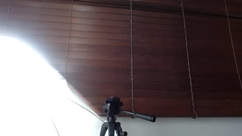 Hanna Venza online show from March 8, 5:22 am