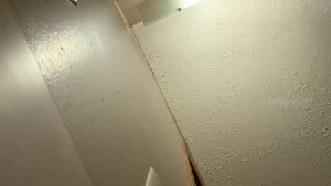 Snapshot of happysoft chatting on December 9, 6:14 pm meatwad online show from December 9, 6:14 pm