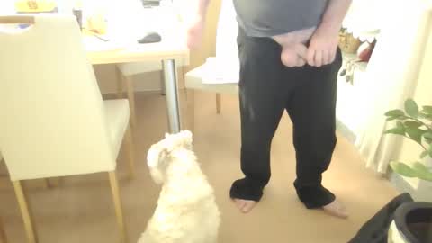 harald1234 online show from February 21, 1:56 pm