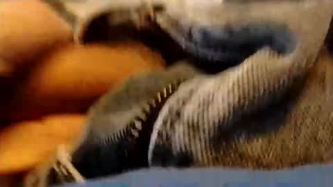 hardandhorny422 online show from January 15, 3:49 pm