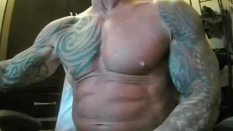 hardbody205a online show from February 19, 1:40 am