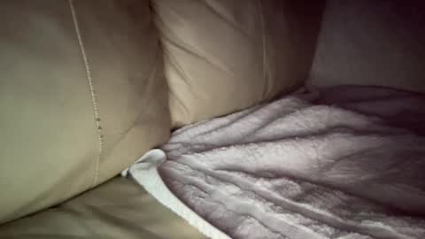 Slim West Cox online show from December 20, 7:44 am