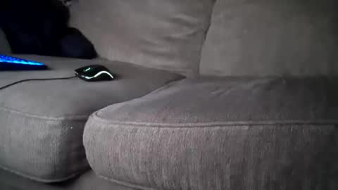 Snapshot of hardcock2share chatting on February 1, 4:00 pm hardcock2share online show from February 1, 4:00 pm