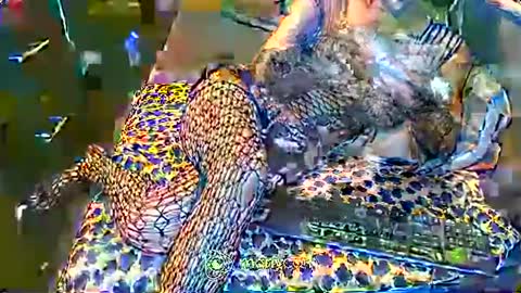 Snapshot of hardfucking_mistress chatting on February 2, 12:46 pm Irina online show from February 2, 12:46 pm