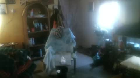 john nobles online show from November 16, 6:35 pm