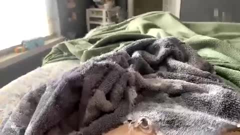 Snapshot of hardnthickm55 chatting on February 14, 6:51 pm hardnthickm55 online show from February 14, 6:51 pm