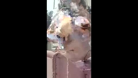 harleen848 online show from May 10, 10:31 am