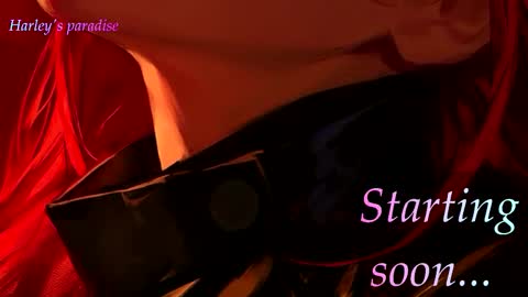 Snapshot of harleyparadise chatting on December 17, 6:52 am 900 am to 300 pm - GTM 5 Weekdays online show from December 17, 6:52 am