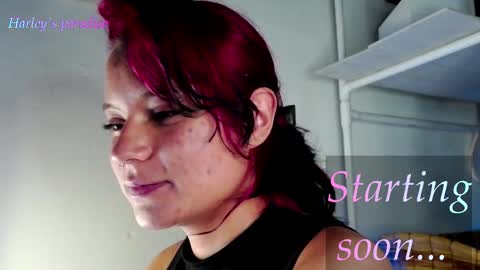 Snapshot of harleyparadise chatting on January 9, 7:55 am 900 am to 300 pm - GTM 5 Weekdays online show from January 9, 7:55 am