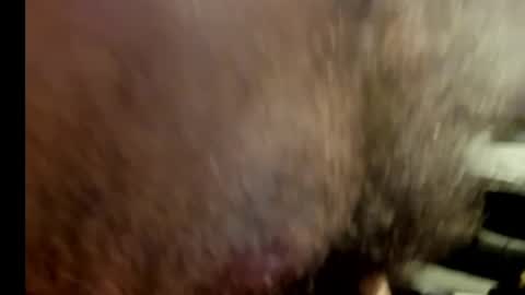 Snapshot of harry_banana chatting on January 17, 10:56 pm harry_banana online show from January 17, 10:56 pm