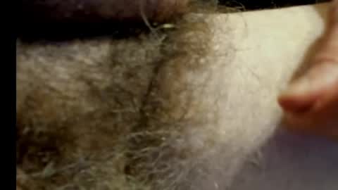 Snapshot of harry_banana chatting on January 20, 11:10 pm harry_banana online show from January 20, 11:10 pm