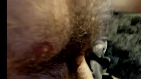 Snapshot of harry_banana chatting on February 10, 10:40 pm harry_banana online show from February 10, 10:40 pm