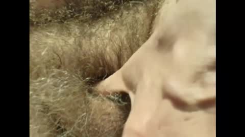 Snapshot of harry_banana chatting on November 30, 3:27 pm harry_banana online show from November 30, 3:27 pm