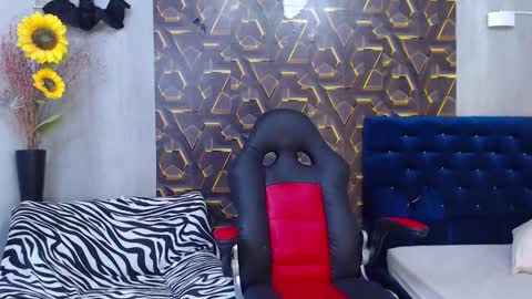 Harry online show from November 8, 8:29 pm