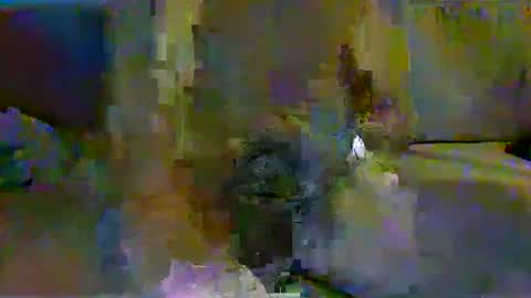 harryhavana online show from February 11, 7:44 am