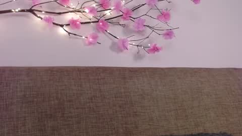     online show from January 6, 5:06 pm