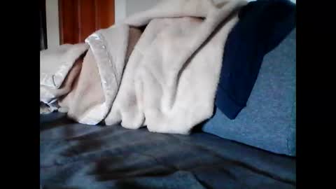 havier282874 online show from June 9, 4:57 am