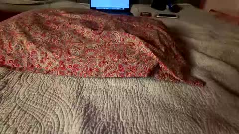 Amber  -   or vip  online show from March 8, 4:05 am