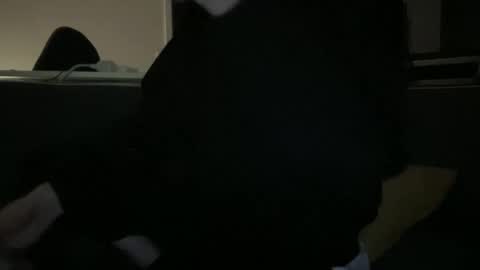 hchappel19 online show from October 1, 8:15 pm