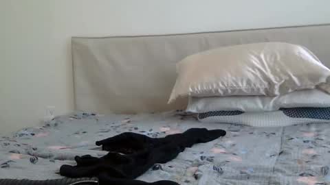 heatwavee online show from February 2, 8:08 pm