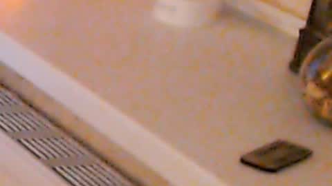 Snapshot of heaven_chloe chatting on January 4, 2:14 am Heaven girl online show from January 4, 2:14 am